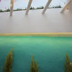 Casa Boho 公寓 阿尔布费拉